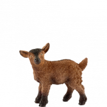 Schleich Gedekid - 13829