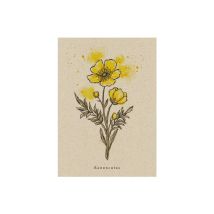 Postkarte Hahnenfuß