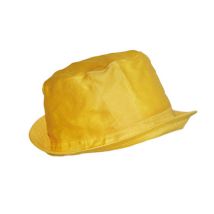 Sonnenhut