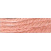 Anchor Tapestry Wool 8302