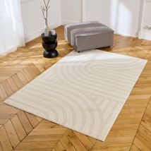 Interior rug with cream arches,