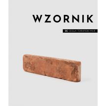 Wzornik SC Toruński mur - płytki z zabytkowej XIX wiecznej cegły rozbiórkowej