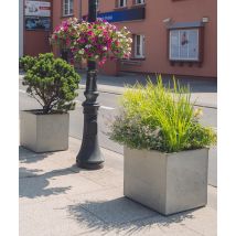 75x75x75 cm CT - Donica betonowa w kształcie kwadratu (biała)