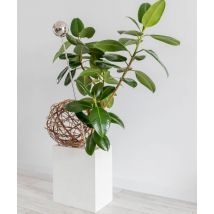 35x22x40 cm CT - Donica betonowa w kształcie prostokąta (biała)