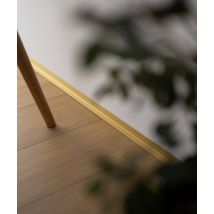 200 x 1,6 x 2 cm Minileiste - (złoty) - Minimalistyczna listwa przypodłogowa cokołowa SL16X5-05