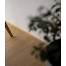 200 x 1,6 x 0,1 cm Minileiste - (złoty) - Minimalistyczna listwa przypodłogowa AL16X5-05