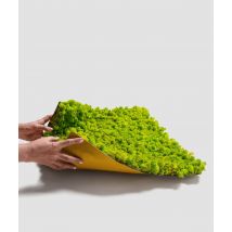 100x50 cm Chrobotek FLEXY, mech reniferowy islandzki (004 energetyczna zieleń)