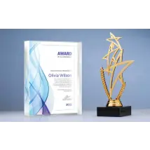 Acrylic Awards, Plaques and Engraved Trophies - WTTB - Personalised & Custom Printing