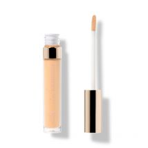 Fruit Pigmented® 2nd Skin Concealer