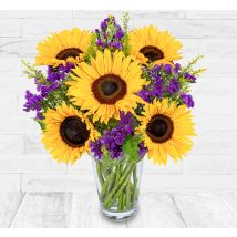 Sunflower Spectacular