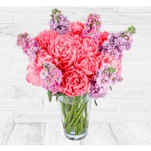 Peonies and Stocks