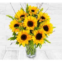 Sunny Sunflowers