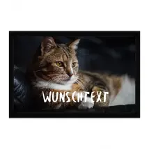 Personalisierte Fußmatte mit Katzenfoto und Wunschtext 60 x 40 cm