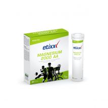 MAGNÉSIUM 2000 AA ETIXX