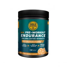 Pre-Workout GoldNutrition Endurance Orange 300g