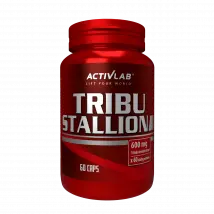 Tribu Stallion