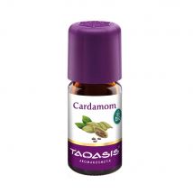 Cardamom Ätherisches Öl Bio (5 ml)