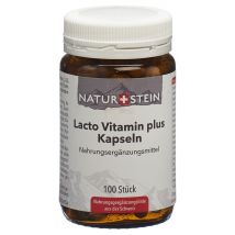 NATURSTEIN Lacto Vitamin plus Kapsel (100 Stück)