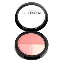Collection Professional Trilogy Blush - Fard Trio - Sunrise