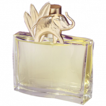 Outlet Kenzo Jungle - Eau de Parfum 100 ml