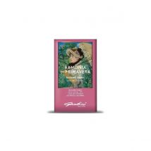 Gandini Spring Harmony - Eau de Toilette