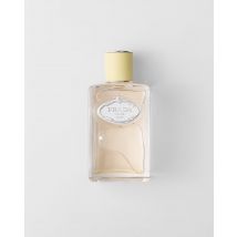 Outlet Prada - Infusion de Gingembre EDP 100 ml