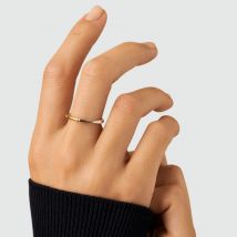 Bague Fine Bamboo - Argenté / Doré - Laiton - Taille : 50 - Agatha Paris