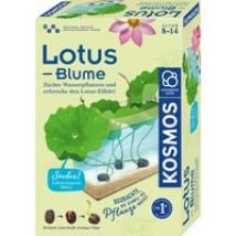 Lotus-Blume, Experimentierkasten