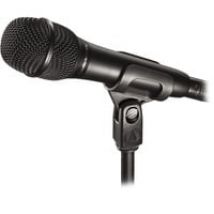 AT2010, Mikrofon