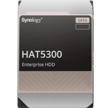HAT5300-12T, Festplatte