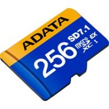 Premier Extreme microSDXC 256 GB, Speicherkarte