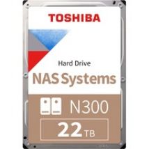 N300  22 TB, Festplatte