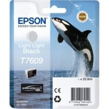 Tinte Light Light Black C13T76094010