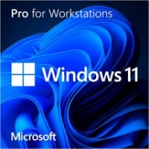 Windows 11 Pro for Workstations 1 licencia(s), Software