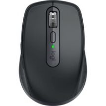 910-006929, Ratón
