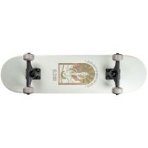 12684, Skateboard