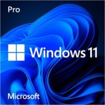 Windows 11 Pro 1 licencia(s), Software