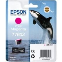 C13T76034N10, Tinta