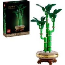 Collection botanique - Bambou, Jouets de construction