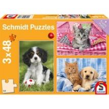 56361, Puzzle