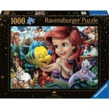 12000567, Puzzle