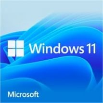 Windows 11 Home, Logiciel