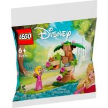 Disney - L’aire de jeu dans la forêt d’Aurore, Jouets de construction