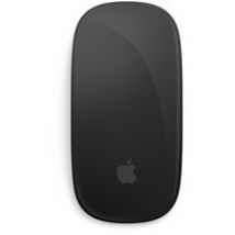 Magic Mouse, Souris