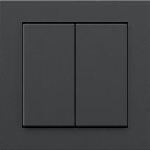 Friends of Hue Smart Switch, Pulsante