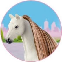 42653, Gioco figura