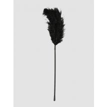 Bondage Boutique Plumeau En Plumes D'Autruche - Amorana