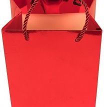 Small Gift Bag (Empty)