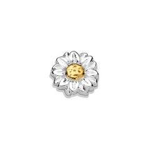 Storie Storie Silver Daisy Charm
