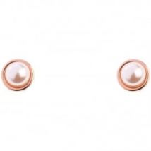 Ted Baker Sinaa Pearl & Rose Gold Stud Earrings